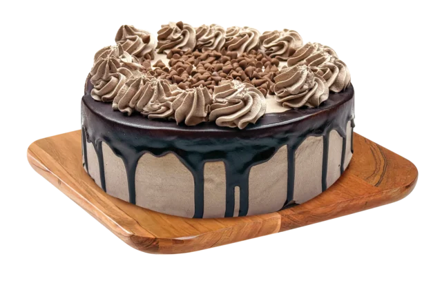Rich chocolate truffle cake topped with ganache and chocolate chips